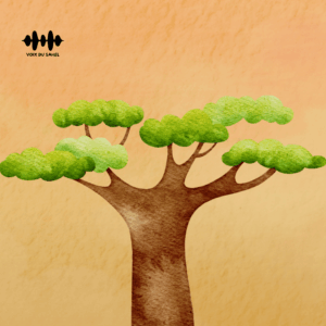 La Véritable Histoire du Baobab