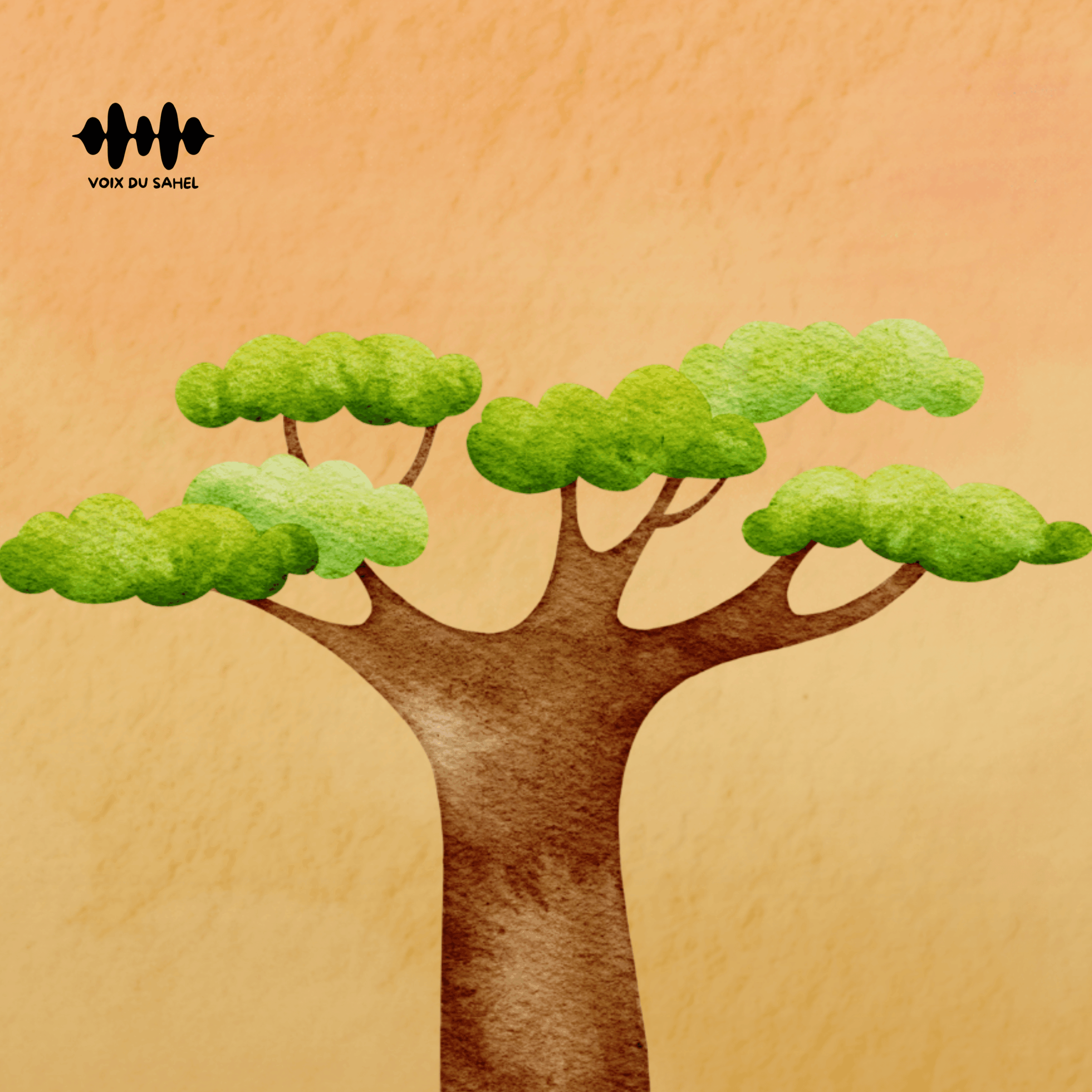 La Véritable Histoire du Baobab